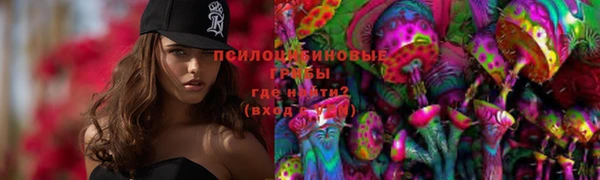 стаф Покров