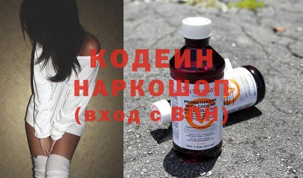 молекула духа Арсеньев