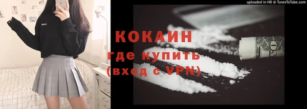молекула духа Арсеньев