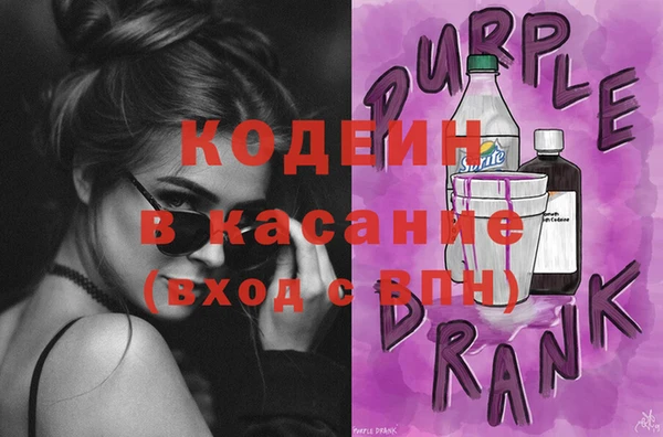 молекула духа Арсеньев