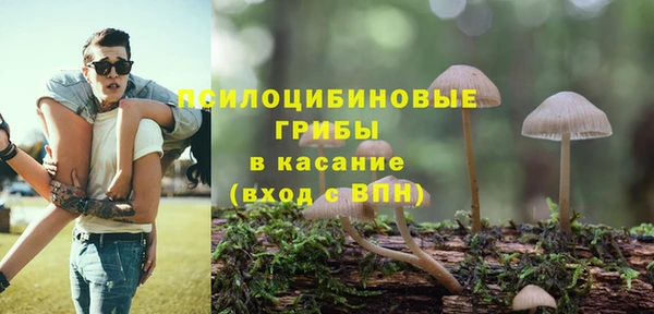 альфа пвп Армянск
