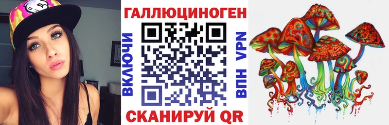 мориарти официальный сайт  Беслан  Псилоцибиновые грибы Psilocybe 